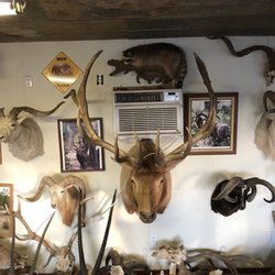 The Wildlife Ranch
