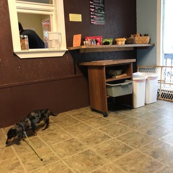Bark Espresso - Coffee & Tea Near Me - Seattle, Washington Bark Espresso - Coffee & Tea Near Me - Seattle, Washington