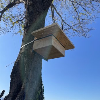 Castros Tree Services - Barn owl box hung by Juan Castro - Tree Services Near Me Castros Tree Services - Barn owl box hung by Juan Castro - Tree Services Near Me
