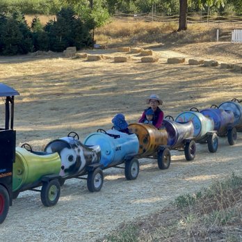 Boa Vista Orchards - Early bird gets the worm! One of the first groups for the train ride. - Fruits & Veggies Near Me - Placerville, California Boa Vista Orchards - Early bird gets the worm! One of the first groups for the train ride. - Fruits & Veggies Near Me - Placerville, California