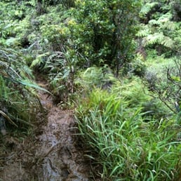 This section is not maintained. This section is not maintained.