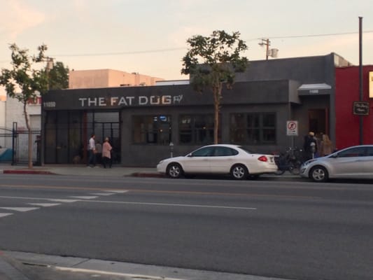 The Fat Dog by null
