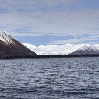 Seward Ocean Excursions - Boat Tours Near Me