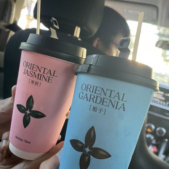 Molly Tea - Bubble Tea Near Me - Sunnyvale, California