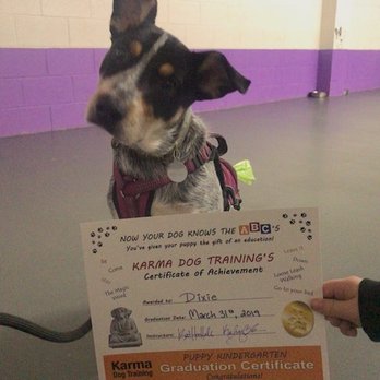 Karma Dog Training - Graduation day! - Dog Walkers Near Me - Los Angeles, California Karma Dog Training - Graduation day! - Dog Walkers Near Me - Los Angeles, California