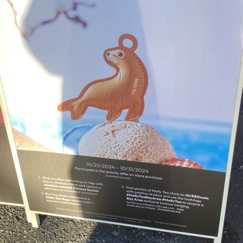 Molly Tea - Bubble Tea Near Me - Sunnyvale, California Molly Tea - Bubble Tea Near Me - Sunnyvale, California