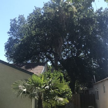 Joel's Tree Services - Tree Services Near Me