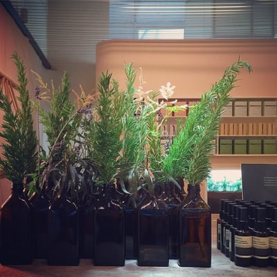 Aesop NW 23rd Avenue by null