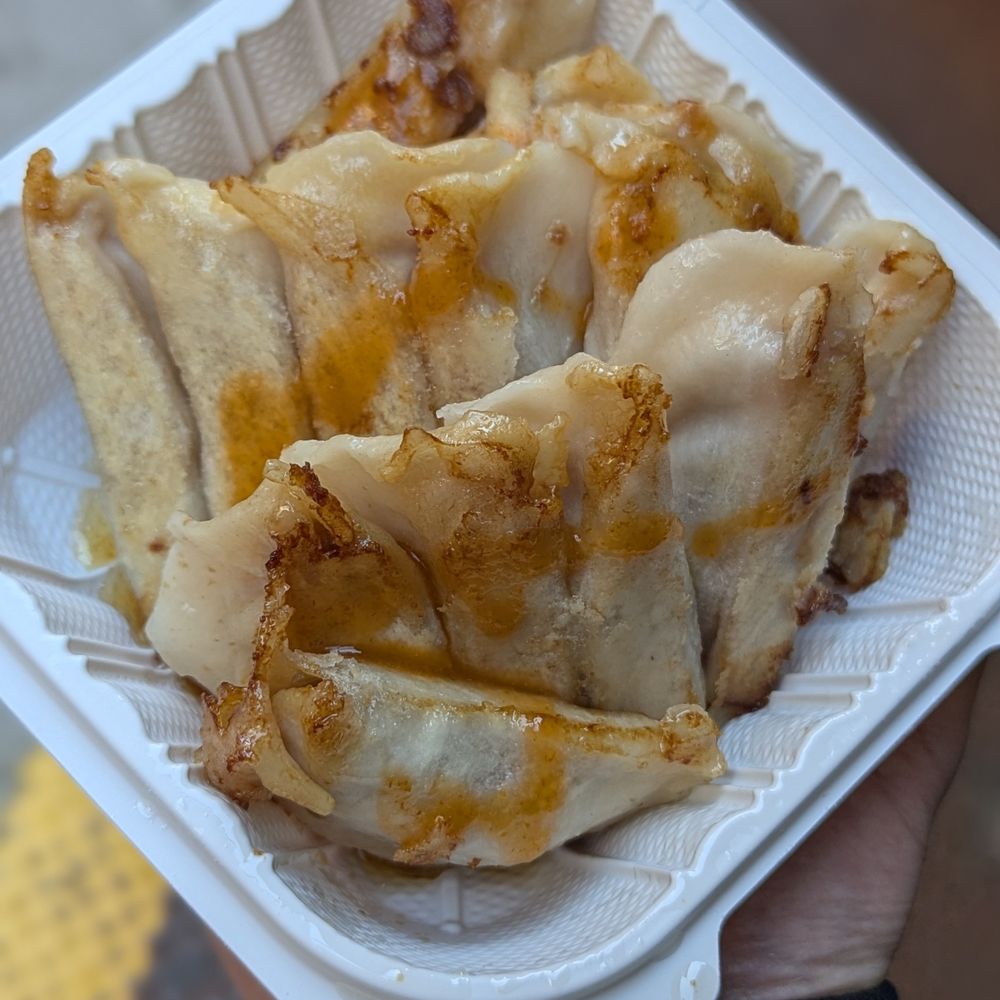 Fried Dumpling - $5 dollars for 13 pieces of dumplings - Chinese Near Me - New York, New York Fried Dumpling - $5 dollars for 13 pieces of dumplings - Chinese Near Me - New York, New York