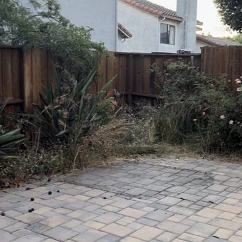 Berryessa Quality Landscape - The before with it looking very messy - Masonry/Concrete Near Me - San Jose, California Berryessa Quality Landscape - The before with it looking very messy - Masonry/Concrete Near Me - San Jose, California
