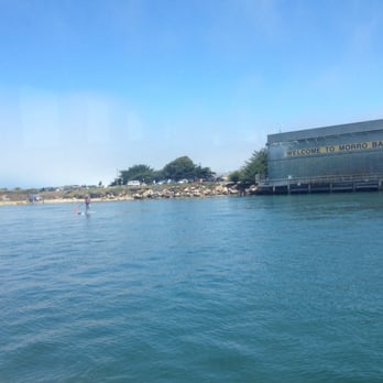 Chablis Cruises - Loved this excursion around Morro Bay to Los Osos - Boat Charters Near Me - Morro Bay, California Chablis Cruises - Loved this excursion around Morro Bay to Los Osos - Boat Charters Near Me - Morro Bay, California