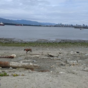 Jericho Beach Park - Parks Near Me - Vancouver, British Columbia Jericho Beach Park - Parks Near Me - Vancouver, British Columbia