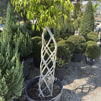 Simplex Services - Lawn Services Near Me - Sarasota, Florida Simplex Services - Lawn Services Near Me - Sarasota, Florida