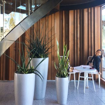KIT Coffee - K I T A E S T H E T I C S - Coffee & Tea Near Me - Newport Beach, California