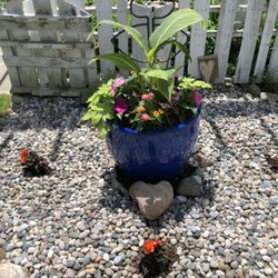 ARK Landscaping