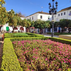 Plaza de los Naranjos