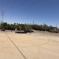 Montoya's Wholesale Nursery