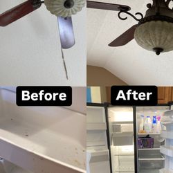 Paradise Cleaning - Extreme Dusting Pet Care