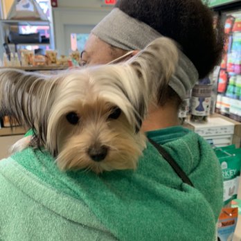Healthy Spot - Rockridge - Kash with Groomer Ariel (2.13.21) Healthy Spot - Pet Groomers Near Me - Berkeley, California