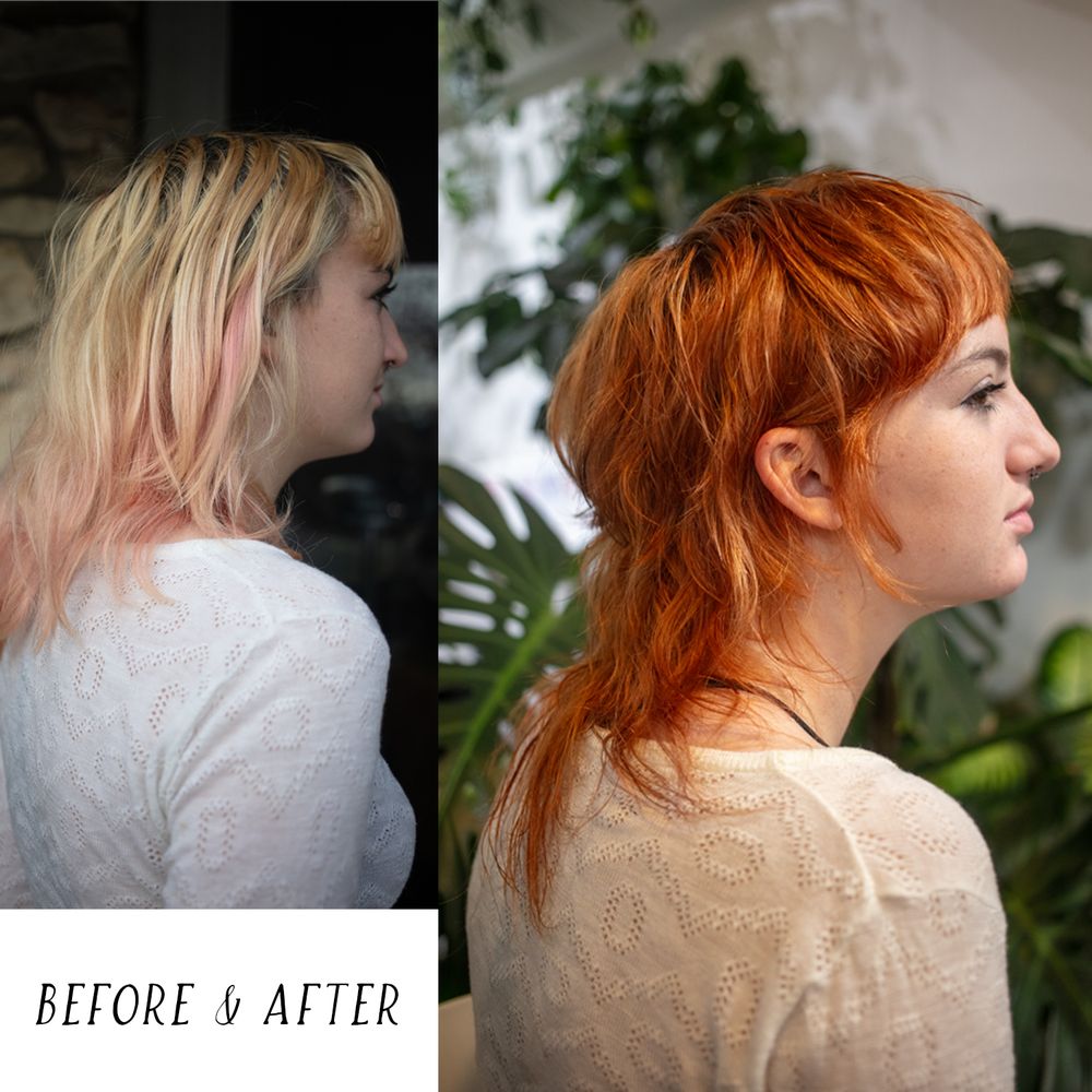 Hair by Alexia Carroll Logo