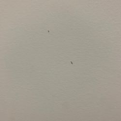 Jersey Strong - Dried boogers on the wall in the women's' changing room