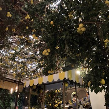 Mandolina - An Indoor Citrus Heaven - Mediterranean Near Me - México, D.F., DIF Mandolina - An Indoor Citrus Heaven - Mediterranean Near Me - México, D.F., DIF