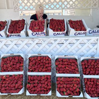 Gary's Strawberries - Street Vendors Near Me - Menifee, California Gary's Strawberries - Street Vendors Near Me - Menifee, California