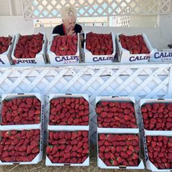 Gary's Strawberries