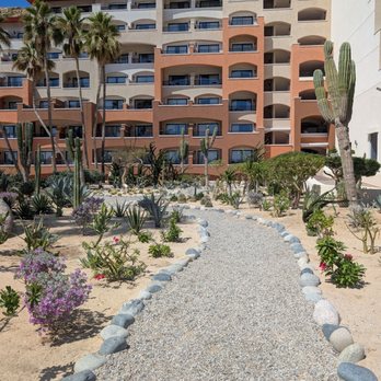 Sandos Finisterra - Cactus garden - Hotels Near Me - Cabo San Lucas, BCS