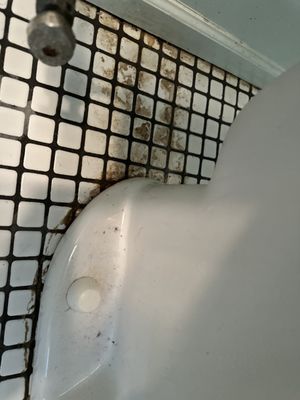 Photo of Cleanzen - Chicago, IL, US.