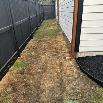 Pristine Landscaping and Lighting. - Dead sod installed - Landscaping Near Me