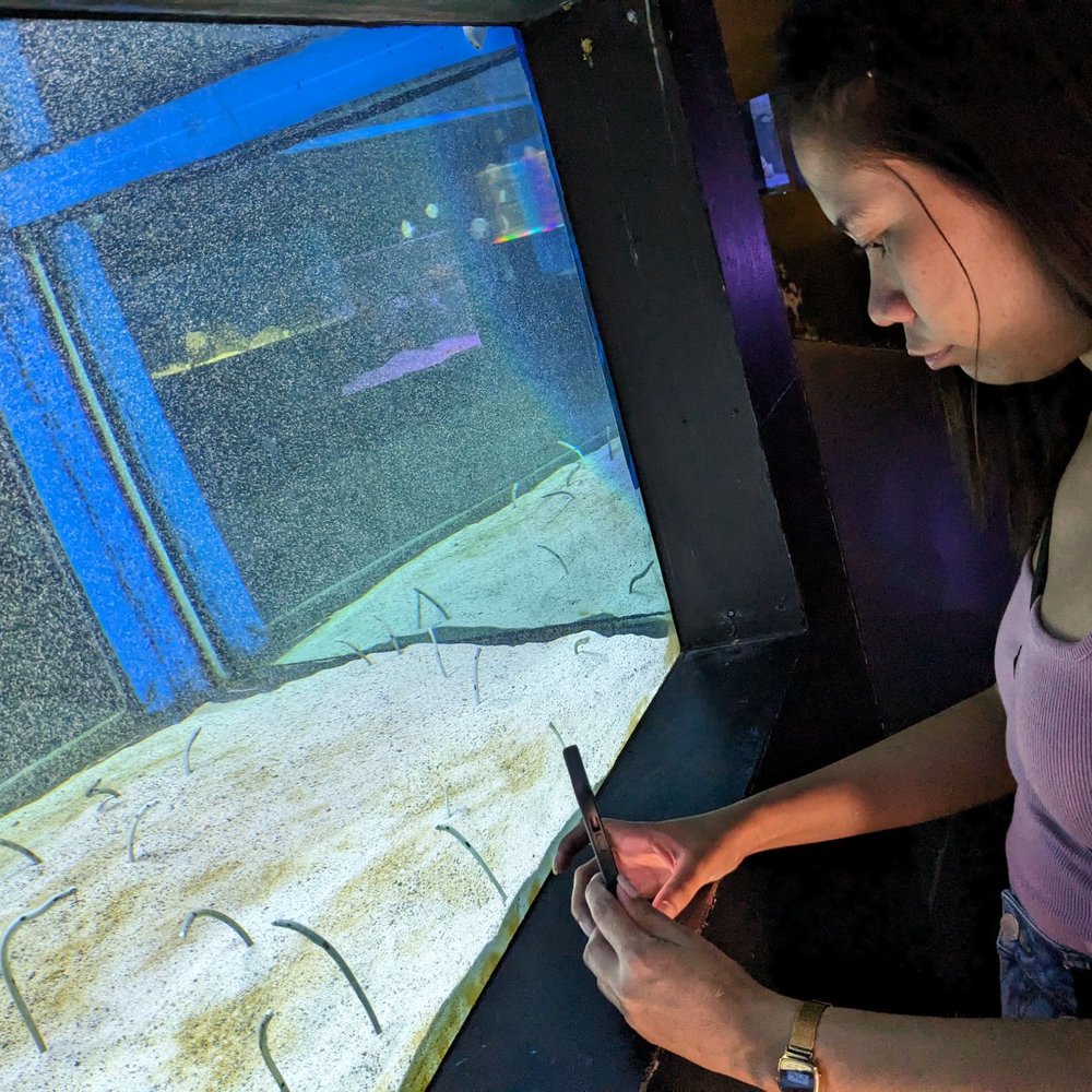 Manila Ocean Park - Aquariums Near Me - Manila, NCR Manila Ocean Park - Aquariums Near Me - Manila, NCR