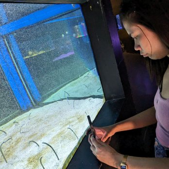 Manila Ocean Park - Aquariums Near Me - Manila, NCR