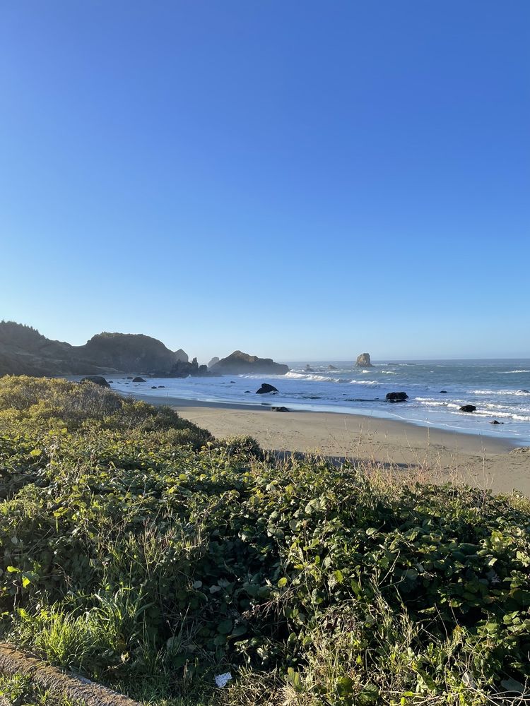 PISTOL RIVER STATE SCENIC VIEWPOINT Updated September 2024 Gold