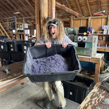 B & B Family Farm - He is hilarious and always ready for photos - Walking Tours Near Me - Sequim, Washington