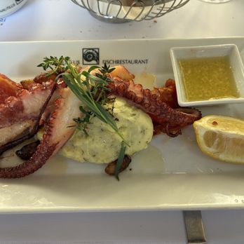 Nautilus - Octopus - Seafood Near Me - Vienna, 9 Nautilus - Octopus - Seafood Near Me - Vienna, 9