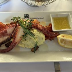 Nautilus - Octopus