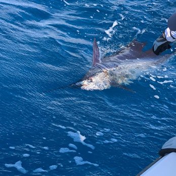 Reel Busy Charters - Boat Charters Near Me - Stuart, Florida Reel Busy Charters - Boat Charters Near Me - Stuart, Florida