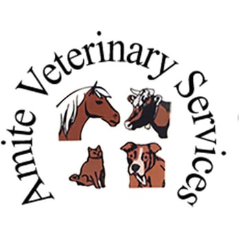 Amite Veterinary Services - Veterinarians Near Me - Amite, Louisiana Amite Veterinary Services - Veterinarians Near Me - Amite, Louisiana
