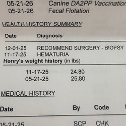 Animal Wellness Center Of Fairhope - Vet Visit that states a biopsy is needed