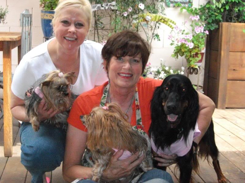 The Pet Pal - pet boarding facility in Fresno, CA