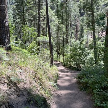 West Fork Trail - Trail - Hiking Near Me - Sedona, Arizona
