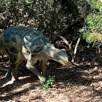 Dinosaur Park - Amusement Parks Near Me - Cedar Creek, Texas