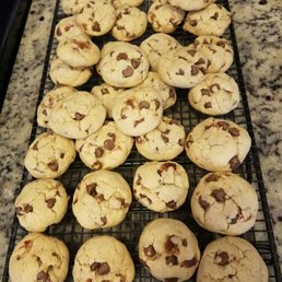 Chocolate Chocolate Chip Chocolate Chocolate Chip