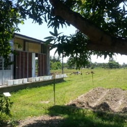 Camp Ikapudi