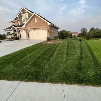Vibrant Lawn Solutions - Lawn Services Near Me Vibrant Lawn Solutions - Lawn Services Near Me
