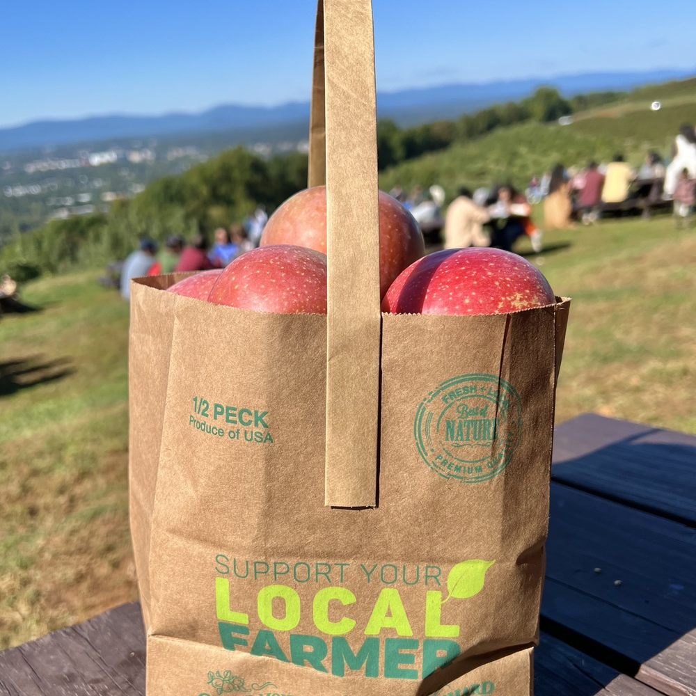 Carter Mountain Orchard - Fuji Apples (small bag) - Pick Your Own Farms Near Me - Charlottesville, Virginia Carter Mountain Orchard - Fuji Apples (small bag) - Pick Your Own Farms Near Me - Charlottesville, Virginia