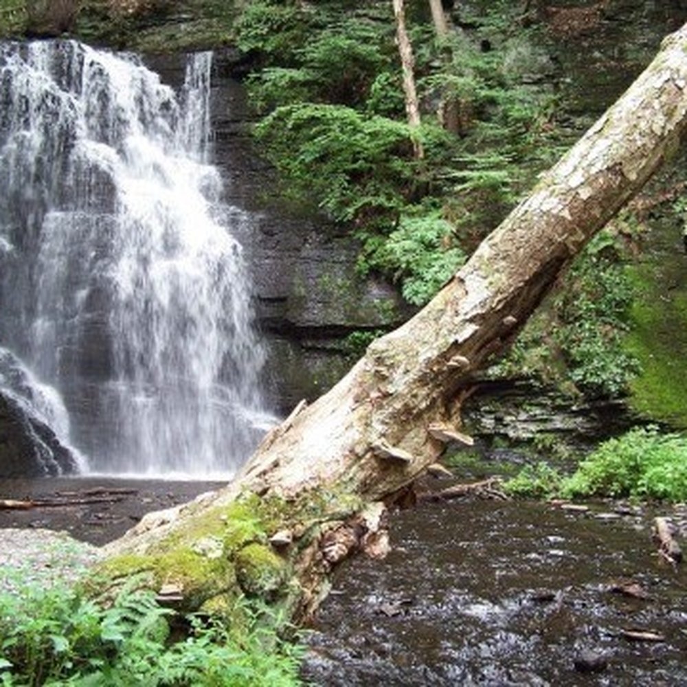 Bushkill Falls - Tours Near Me - Bushkill, Pennsylvania