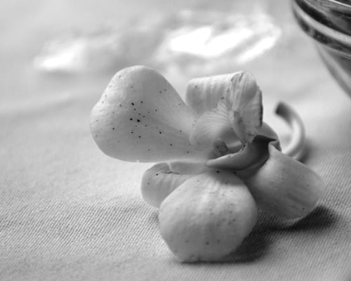 Snug Harbor Inn by null