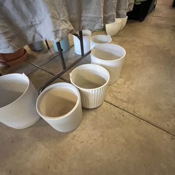 Rooted Living - Pots and Planters - Nurseries & Gardening Near Me - Chicago, Illinois